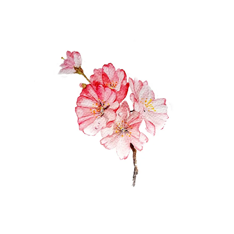 YOJA 19.5*24CM Creative Hand Drawn Cherry Blossom Bedroom Wall Sticker Bathroom Toilet T1-0438 | Дом и сад