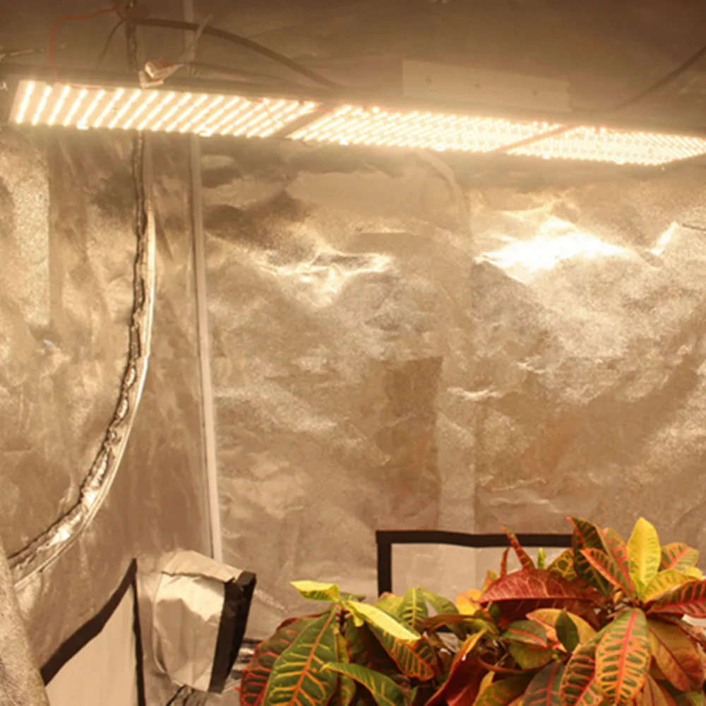Led grow light quantum доска samsung LM561C полный спектр 150/300/450/600/750/900 W 2700-6500 K Вег/Bloom состояние Светодиодные промышленные светильники Meanwell
