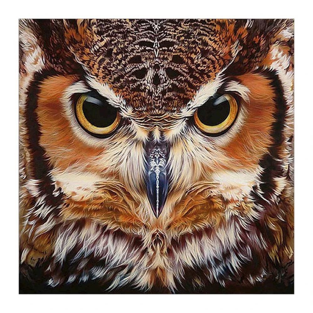 

Owl Diamond Painting Cross Stitch Animals Patterns Rhinestone Diamond Embroidery Full Round/Square Diamond Mosaic Needlework