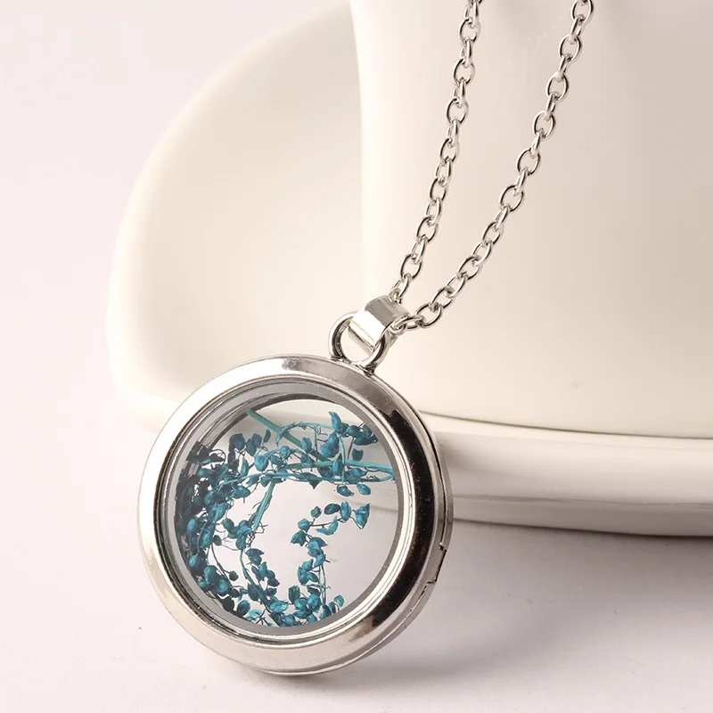 2016 Fashion Round Disk Silver Plated Grass Specimen Statement Glass Wishing Bottle Necklaces for Women Love Gift Jewelry N2171 | Украшения
