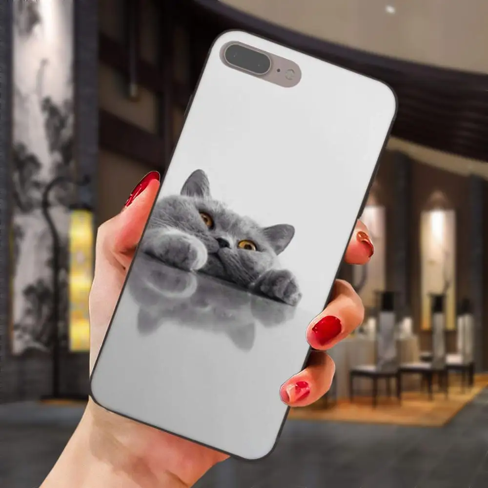 Просвечивающий чехол из мягкого британская; топ с рисунком кошки для huawei Honor 5A 6A 6C 7A 7C 7X 8A 8C 8X9 10 P8 P9 P10 P20 P30 Мини Lite рlus