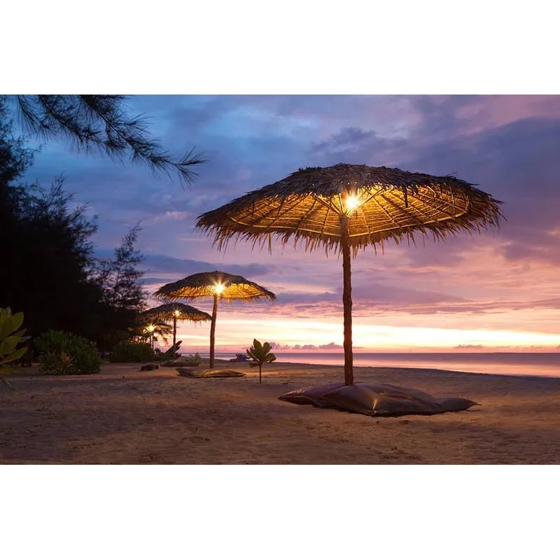 Новый стиль цельный вырез сексуальный купальник плюс удобрение для увеличения MS