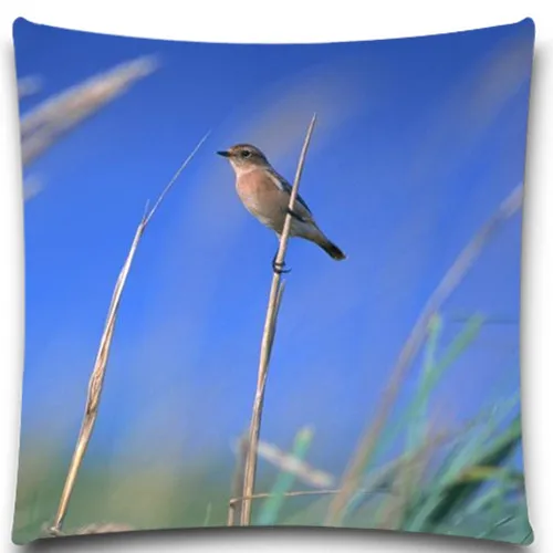 Милая птица на бревне 2D принт креативный наволочка квадратный хлопок полиэстер 5