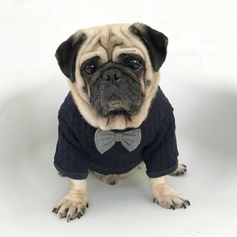 Bigeyedog, французская одежда для бульдога, зимняя одежда с Мопсом, свитер для собак, вязаная одежда, одежда для домашних животных, Schnauzer Frenchie, пальто, одежда