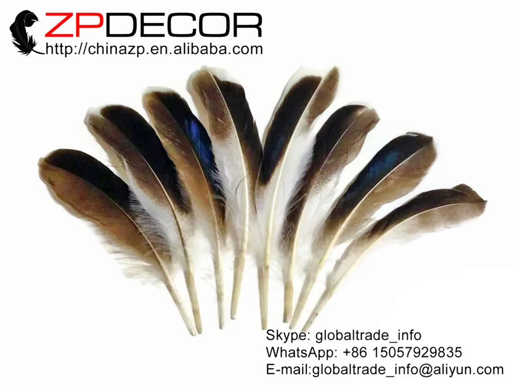 ZPDECOR 10-15 см 100 шт./лот красивый узор Радужный синий микс Кряква утка крыло оптовая