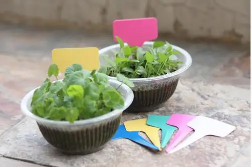 6 x10cm Plastic Plant T-type Tags Markers Nursery Garden Labels Signs Hanging Gray 3pcs | Дом и сад