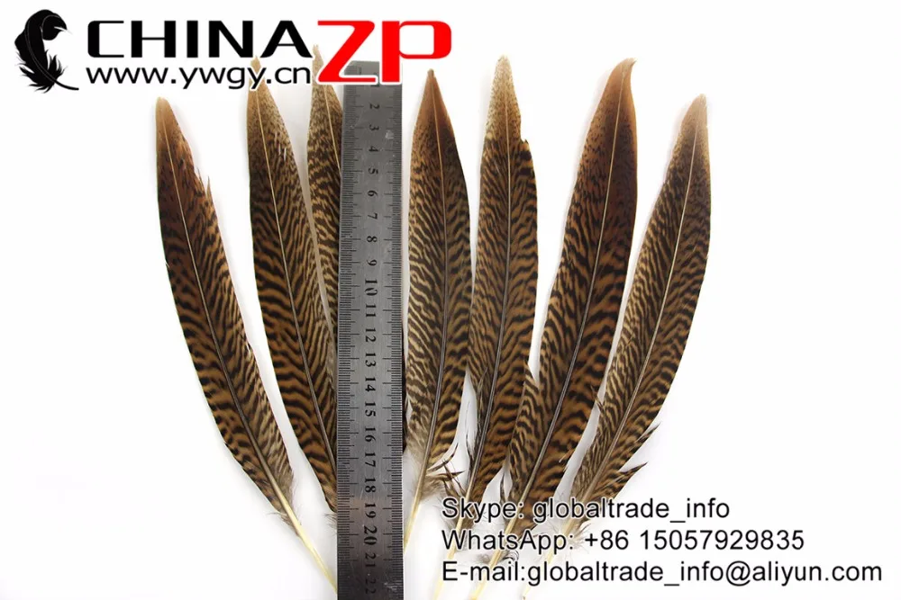 Перья CHINAZP 20 ~ 25 см (8 10 дюймов) короткий размер натуральный Золотой фазан