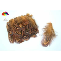 100pcs 100 natural premium pheasant feather 4 8cm2 3inch orange okura beautiful for diy carnival costume mask headdress