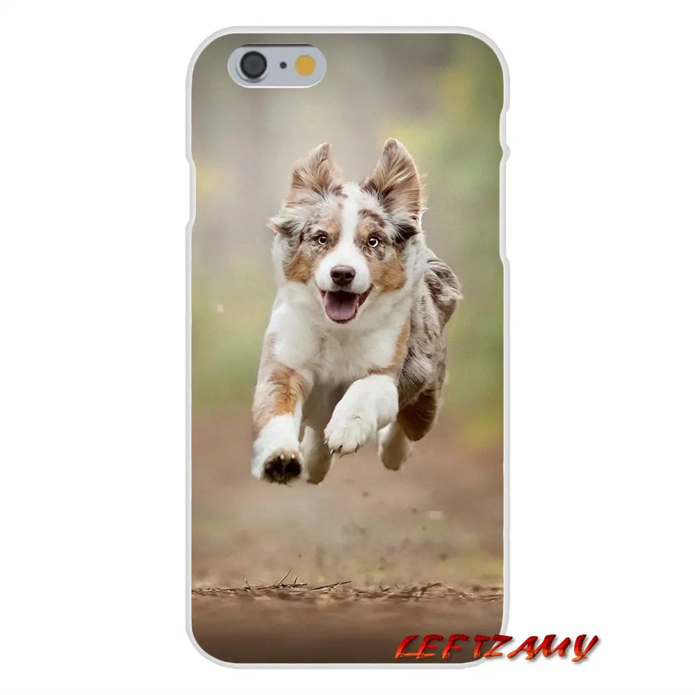 Australian Shepherd Shiba Inu Dog For Samsung Galaxy A5 A6S A7 A8 A9S Star J4 J6 J7 J8 Prime Plus 2018 Transparent TPU Skin Case | Мобильные