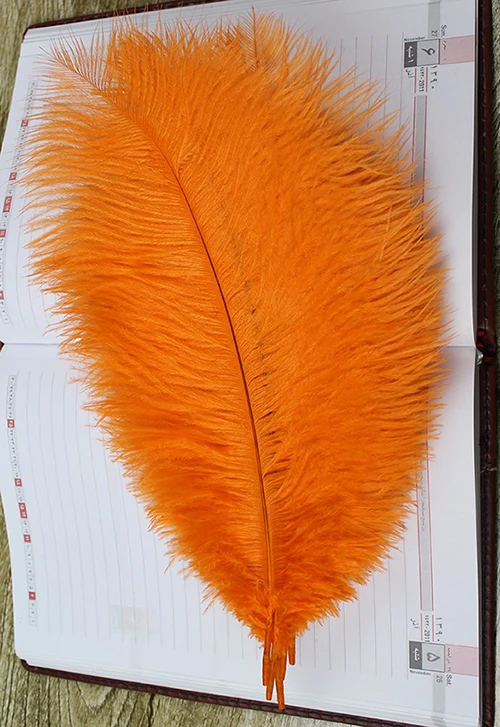 100 шт. 12 14 ''(30 35 см) высокое качество стиль натуральным orange страусиных перьев
