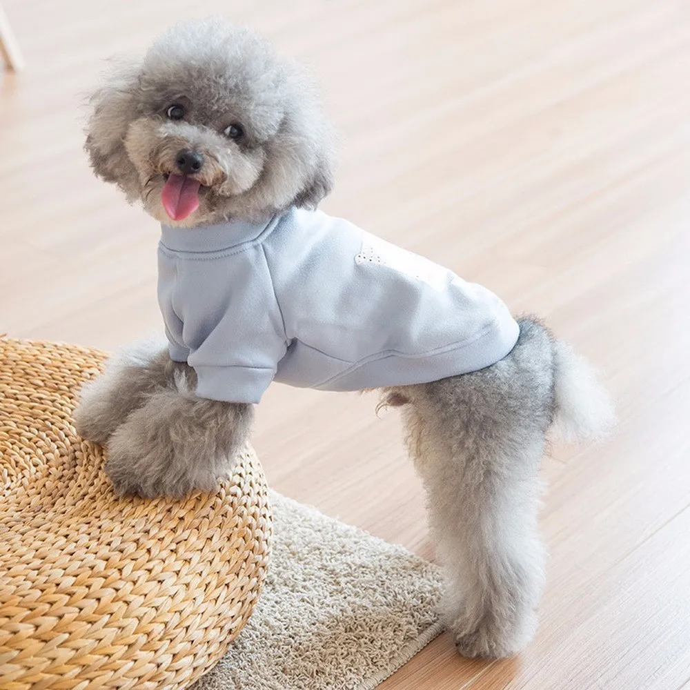 Домашние животные Щенок новый мультфильм шаблон прекрасные одежды собаки Тедди