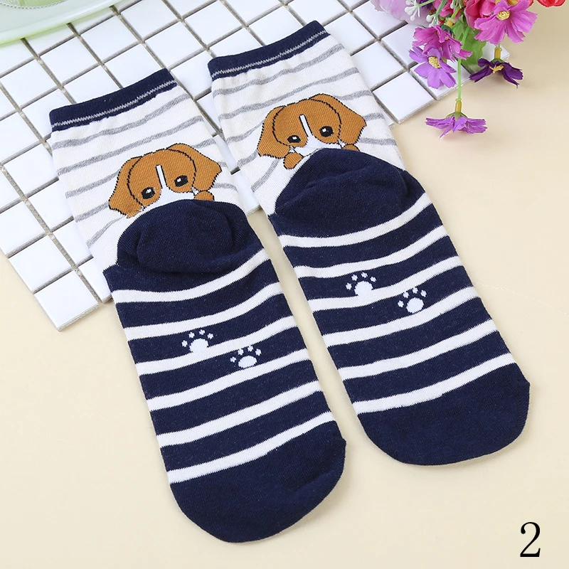 

New Trendy Cartoon Striped Animals Dogs Accessories Beautiful Soft Solid Cotton Sock Color Bright Fashion Winter Long Socks