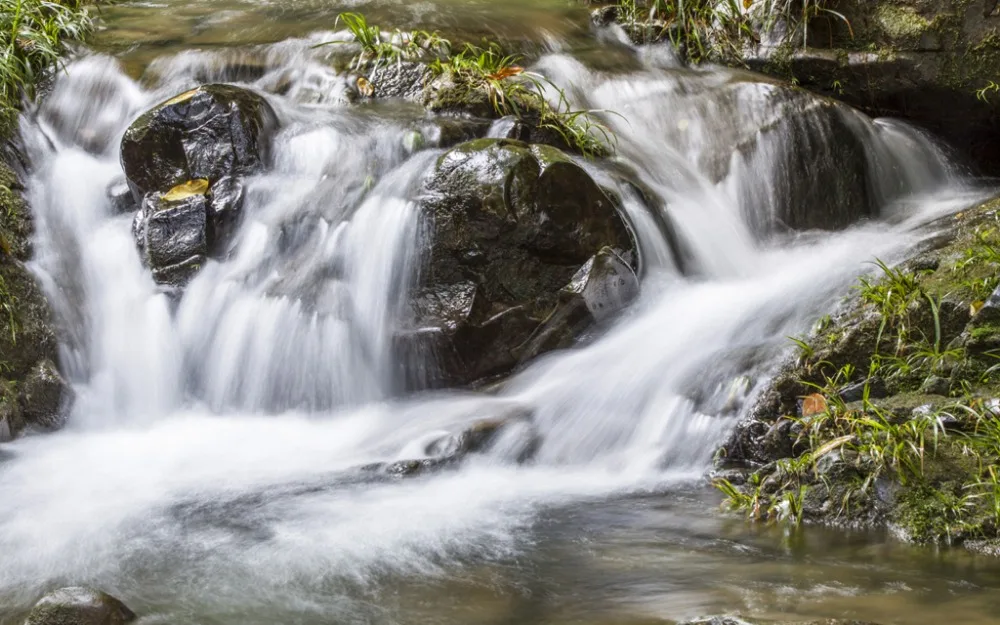Красивые занавески для гостиной модные спальни с изображением природного