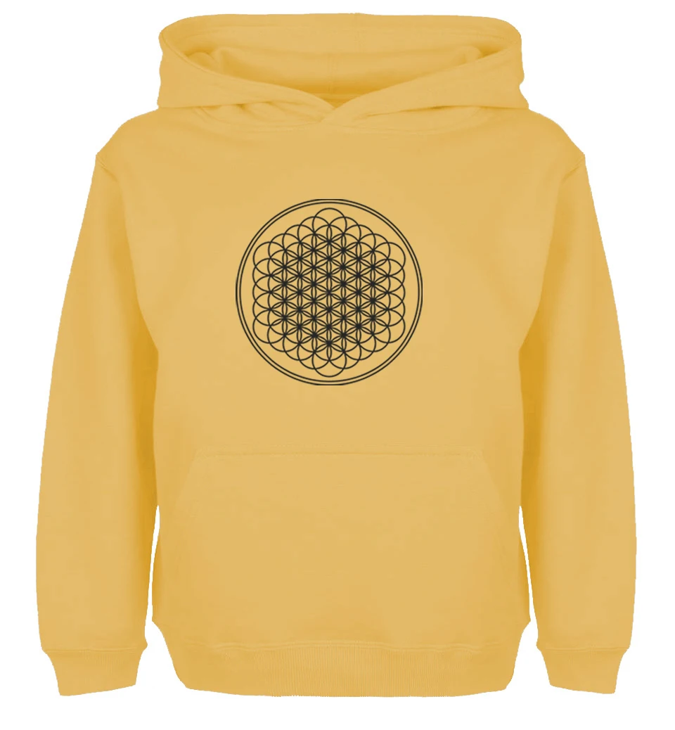 Модная толстовка унисекс с капюшоном с дизайном «BRING ME THE HORIZON» для мужчин и мальчиков, женские зимние куртки для девочек, Толстовка для дня рождения - Цвет: WM740Y
