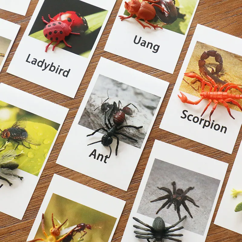 

Match Up Insect Animal Memory Game Preschool Educational Toys For Children Floor Puzzle Picture Recognition Game YF2664H