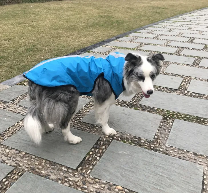 Pet дождевик для маленьких собак водонепроницаемая одежда для больших собак открытый жилет пальто дождевик светоотражающий большой Попона для собаки сетчатый плащ для домашних животных