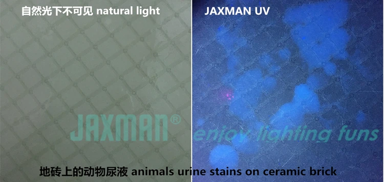 JAXMAN E3 395nm УФ-фонарик, лесная лампа, фонарь для ухода за домашними животными, флуоресцентный фонарь для обнаружения безопасности