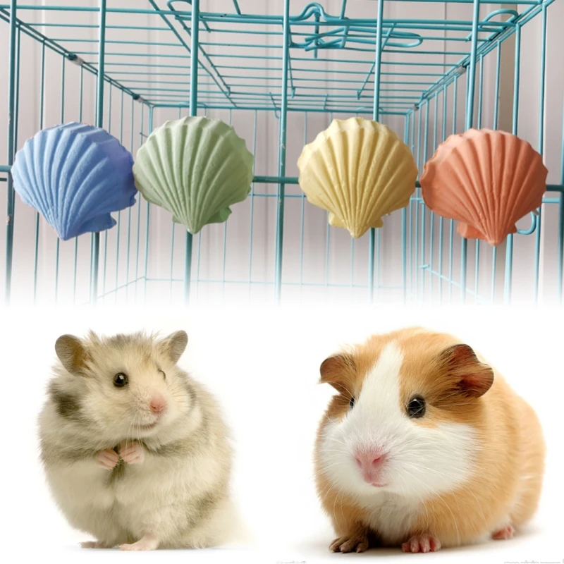 

Parrot Hamster Teeth Grinding Toys Birds Squirrel Calcium Stone Shell Shape Chew