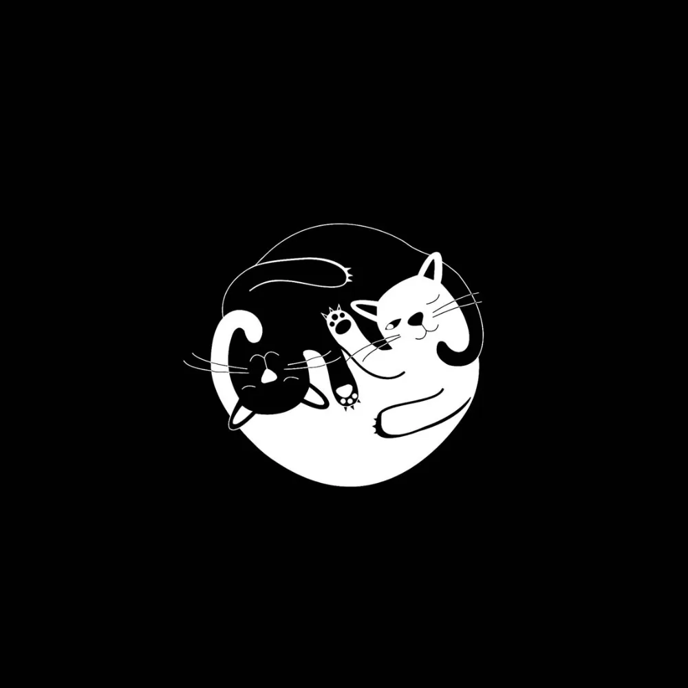 QYPF 17.8CM*15.5CM Two Cat Vinyl Car Stickers Decal Black Sliver C17-00066 | Автомобили и мотоциклы