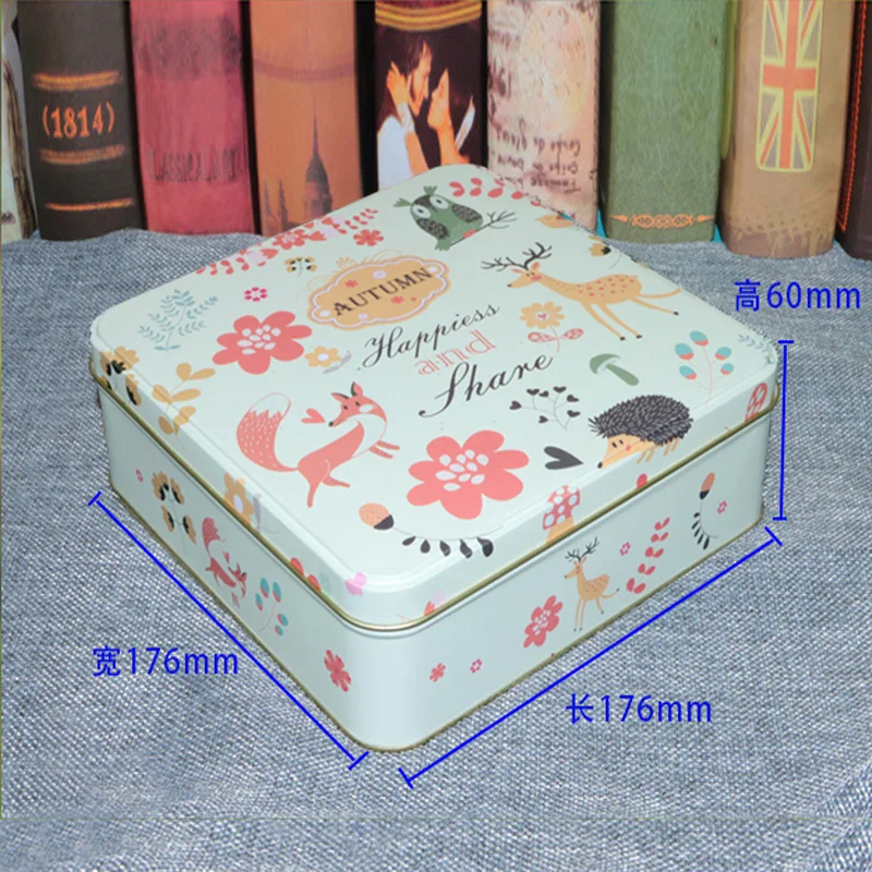 Металлическая коробка на заказ 17 6 мм стандартный органайзер для ланча печенья