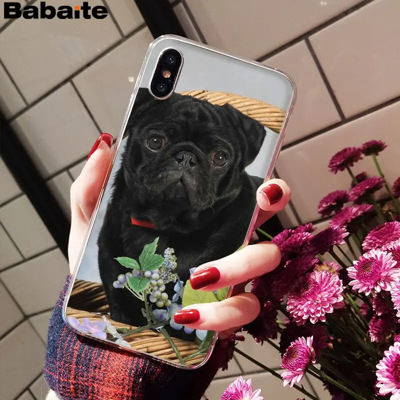 Babaite милый мопс Роскошный Уникальный Дизайн чехол для телефона для iPhone 6S 6plus 7plus 8 8Plus X Xs MAX 5 5S XR - Цвет: A14
