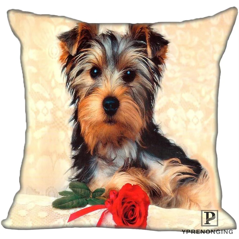 Лучший заказ Йоркширский терьер-собака (1) @ Наволочка на подушку спальня домашняя