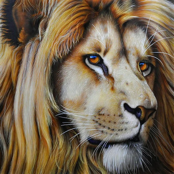Алмазов картина вышивки крестом мозаика алмазная вышивка квадратных полный узор