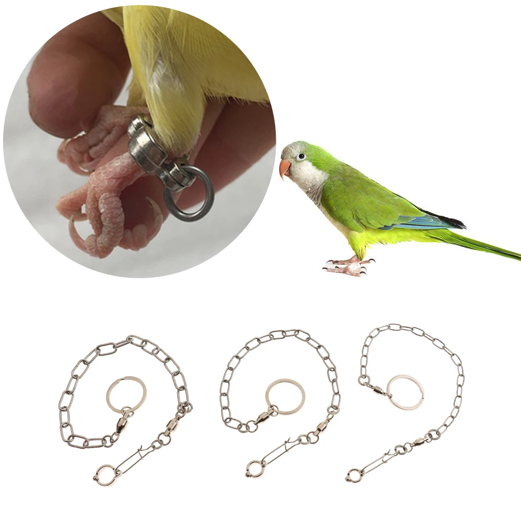 

2 Pcs Pet Bird Leash Parrot Foot Chain Stainless Steel Anklet Ring No.12+07