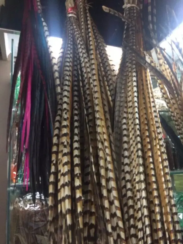 

Free shipping 10pcs 90-100cm reeves' pheasant tail Feather Pheasant Feather Plumes performance Plume