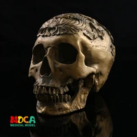 human skull model medical simulation teaching equipment resin skull ornament gift yttg018