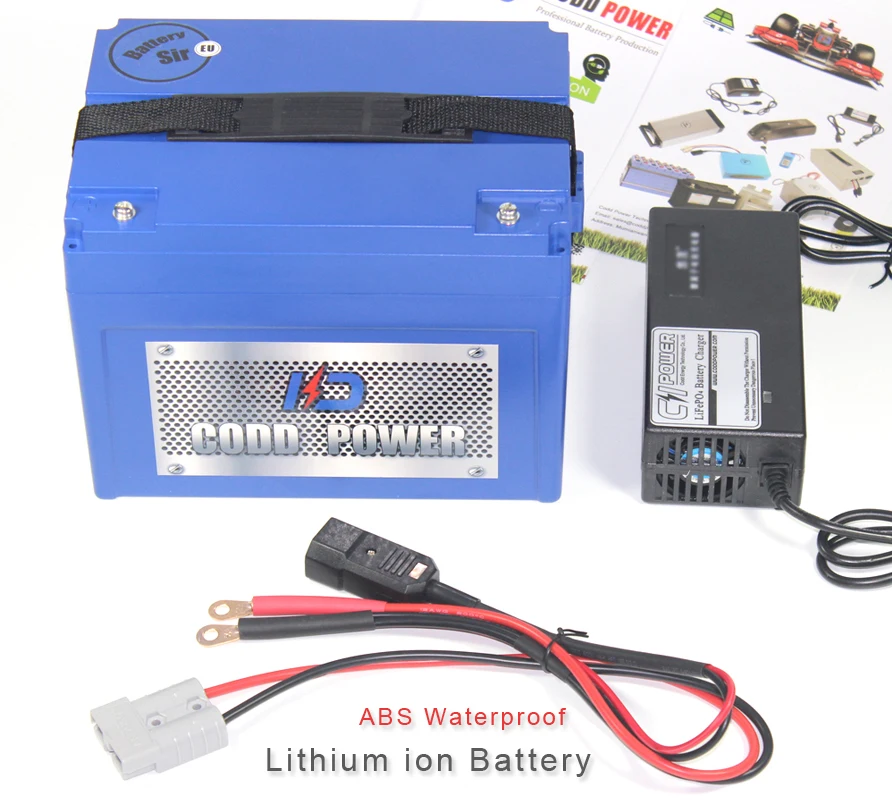 24V 40Ah литий ионный аккумулятор 25 2 v 40000mah Электрический велосипед с 1000W BMS|24v 40ah|electric bike batteryelectric battery pack |