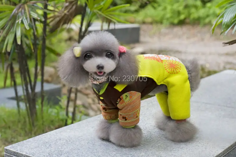 Зима флис утолщение ветрозащитный зеленый фантастика лошадь бренда щенок