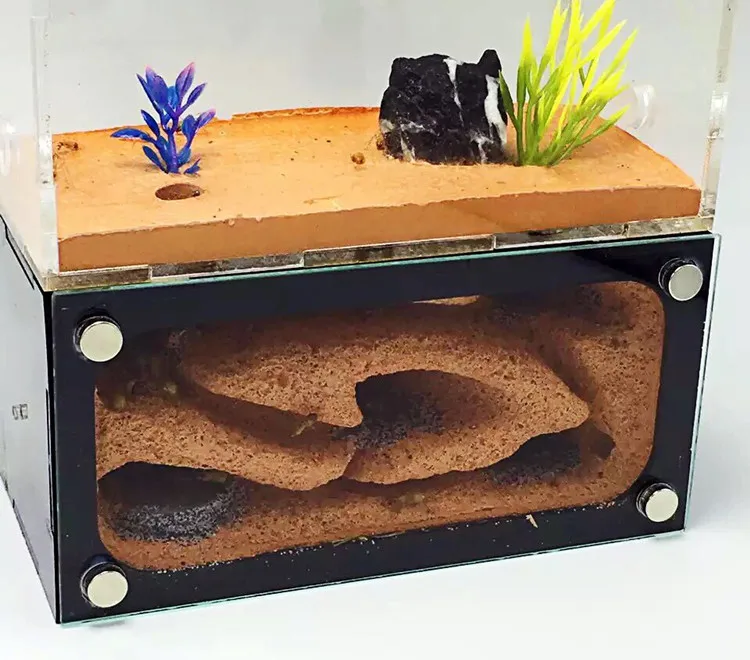 1 шт. Муравьиное гнездо газовое пузырьковое муравьиный город две спальни|Товары