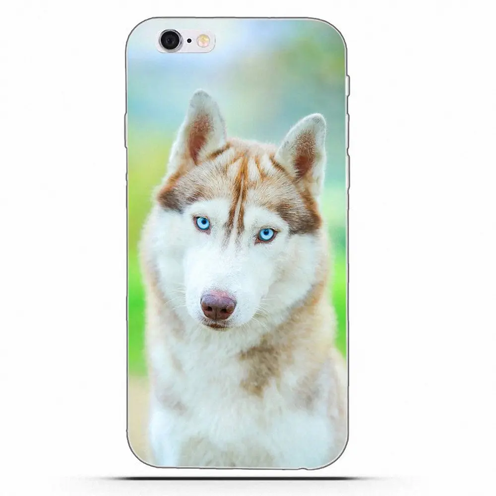 Чехол Wexoeq для телефона с изображением сибирской хаски Apple iPhone 4 4S 5 5C 5S SE 6 6S 7 8 Plus X |