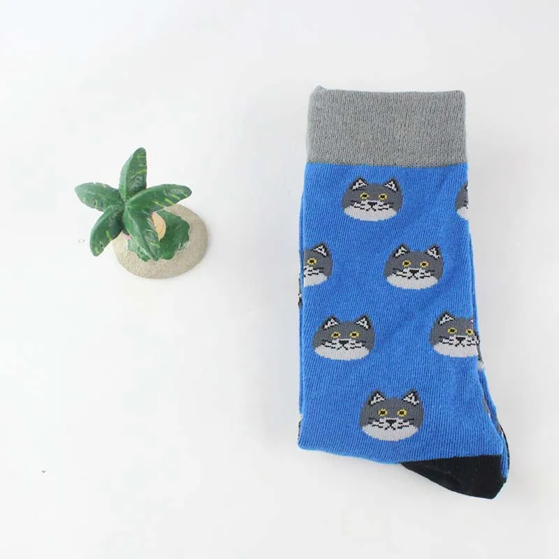 Cats Носки до середины икры для взрослых; носки с изображением животных; петухи; кактус; собаки; кошки; сердца; лисы; Ленивцы; коалы; волк; Пингвины; динозавры - Цвет: Cats