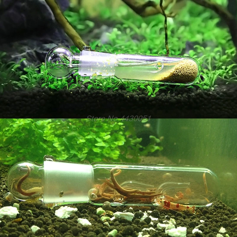 Улитка Vivarium ловушка для борьбы с вредителями Стекло поймать ручка садок рыбы