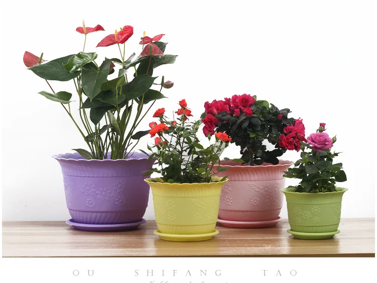 

PP resin balcony thick flower pots / meat plant dedicated