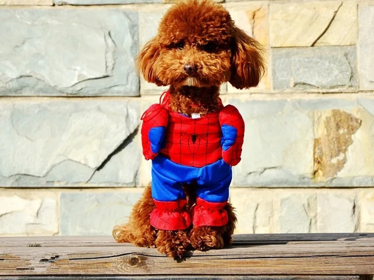 5 шт./лот Лидер продаж Рождество новый год зима Pet Puppy модный стиль милый человек