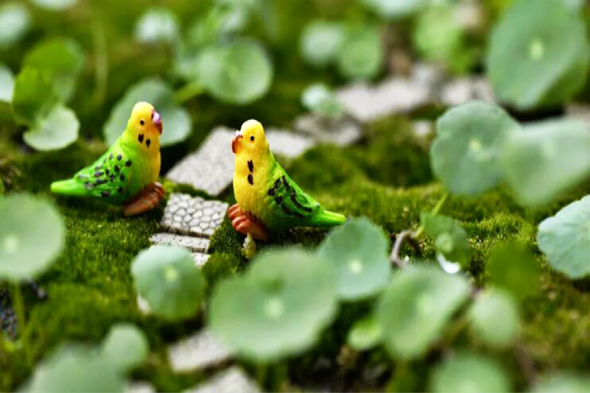 Миниатюрные попугаи 5 шт./лот 3 см мини гномы мох террариумы полимерные ремесла