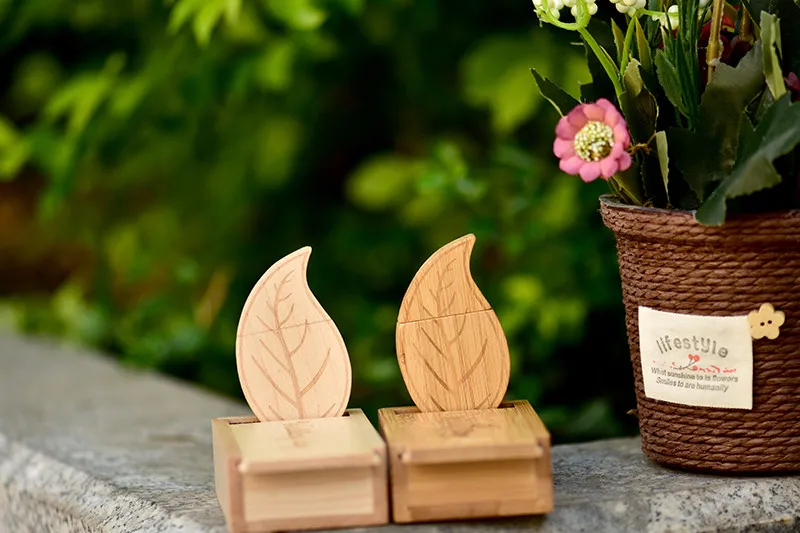 JASTER pendrive Акция 10 шт. бесплатный логотип деревянная форма листа u-диск USB+ коробка USB 2,0 4 ГБ/8 ГБ/16 ГБ/32 ГБ/64 Гб флэш-накопитель
