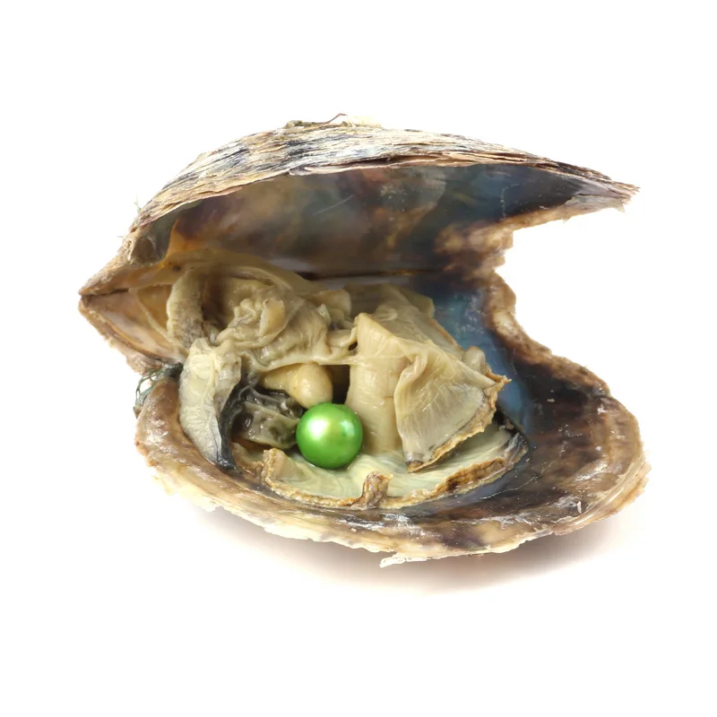 10 шт Oyster соленая вода с круглым жемчугом внутри случайный цвет (6 5 7 мм)|Бусины| |
