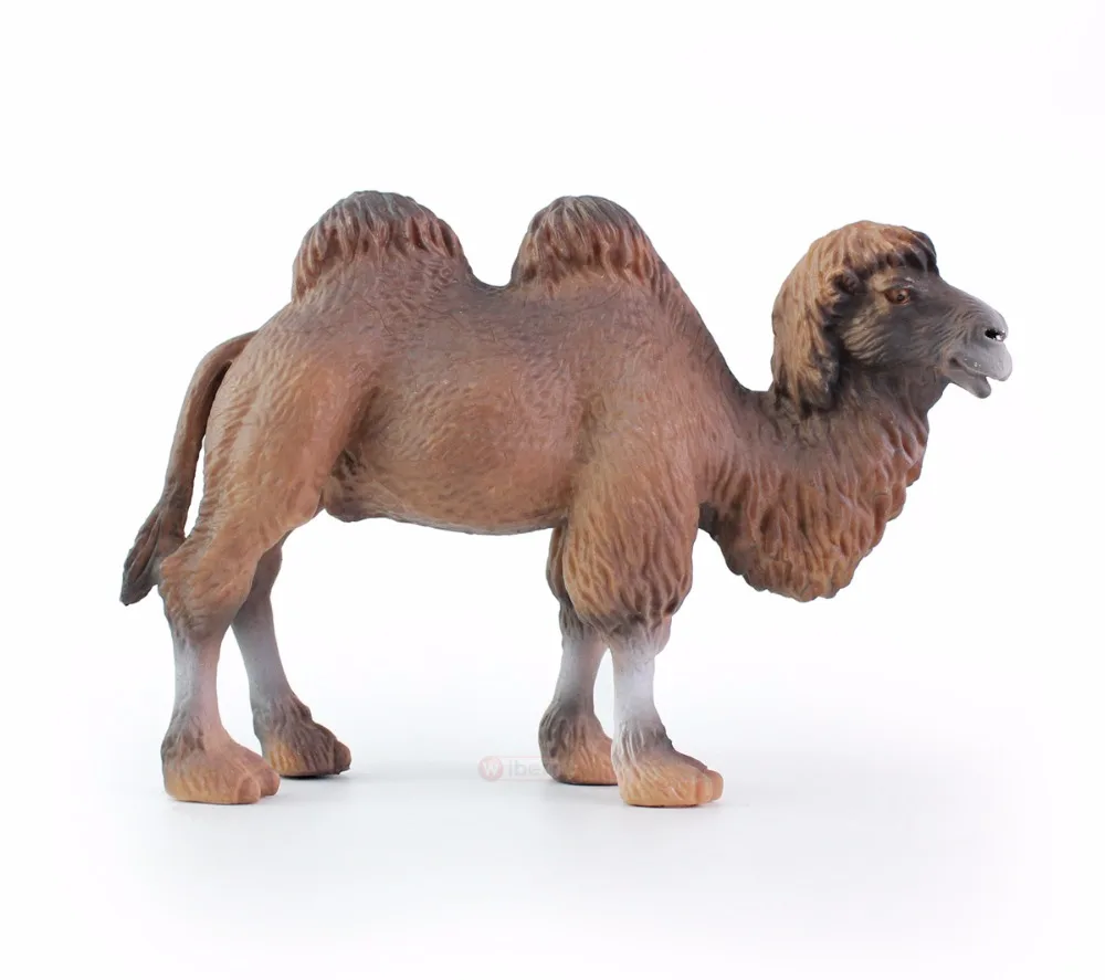 Wiben Camel сафари дикое сафари дикая природа дромедари Модель Коллекция для детей Детские игрушки Подарки на день рождения