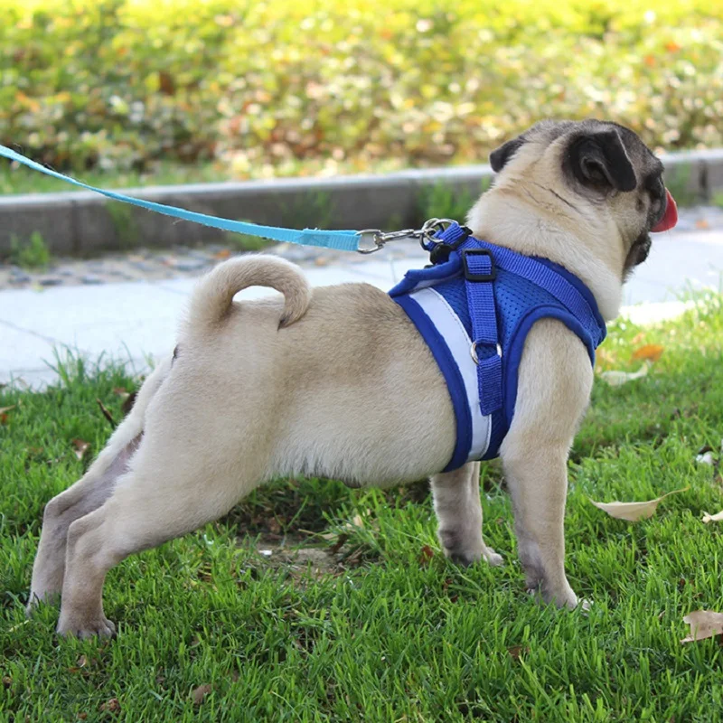 New Dog Cat Harness Vest Reflective Walking Lead Leash for Puppy Dogs Polyester Mesh Small Medium Pet Products | Дом и сад
