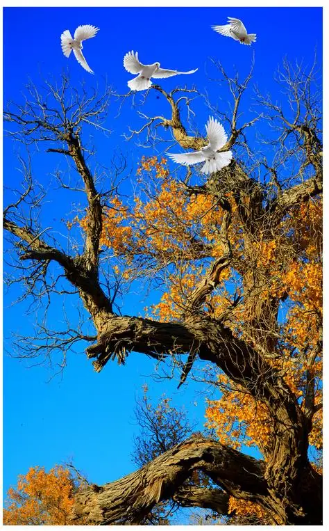 Лес с изображением голубого неба Потолочная гостиная спальня потолок 3d комнаты