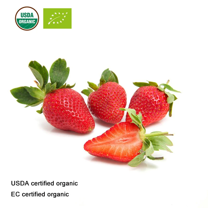 Сертифицированный USDA и EC органический порошок клубничного сока|Товары для