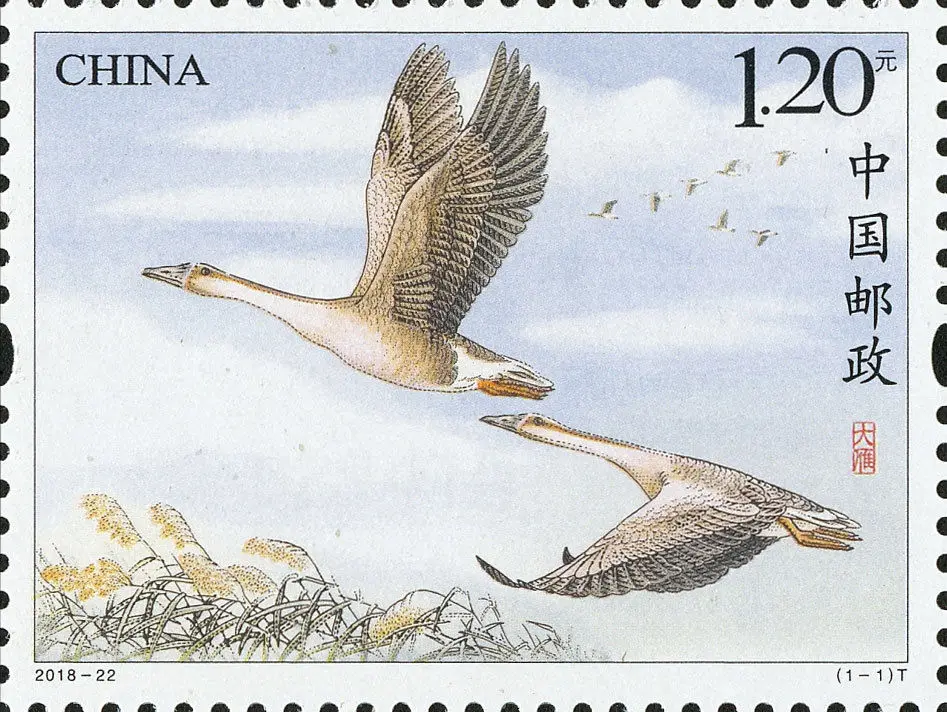 Горячие китайские почтовые марки 2018-22 Wild Goose New MNH | Канцтовары для офиса и дома