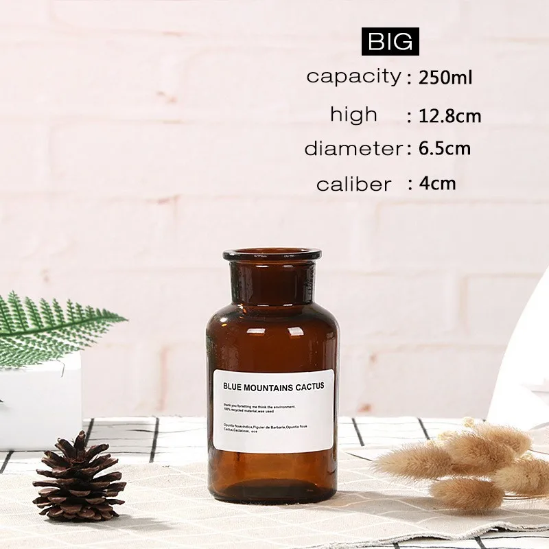 250ML C2 Скандинавская стеклянная ваза для дома, Креативные украшения, прозрачные сушеные цветы, гидропоники, маленькая коричневая бутылка, ваза, прикроватное украшение - Color: 250ML C2