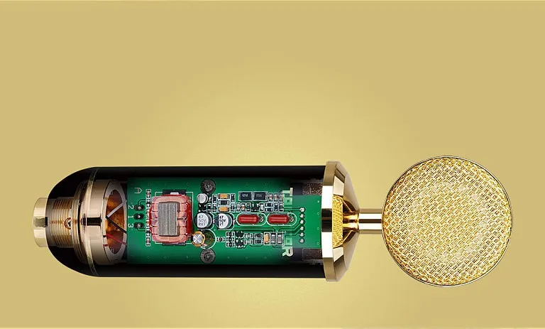 Takstar PC-K820/PC K820 Профессиональный позолоченный микрофон для профессиональных студий звукозаписи сценические выступления инструменты