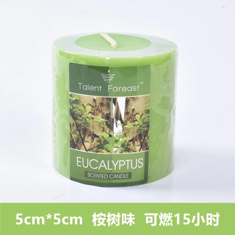 Домашняя Scentend свеча, рождественские свечи на день рождения, свадебные декорации, романтические свечи, Подарочные свечи, восковые свечи WZE003 - Цвет: eucalyptus 5x5cm