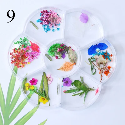 9 Natural Nail Dried Flowers Decoration Mix Dry Flower And Leaf Decor 3D Nail Art Designs Gypsophila Manicure Accessories - Цвет: 9